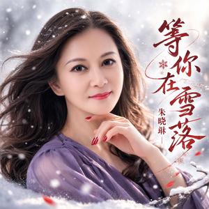 等你在雪落