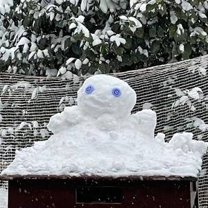 在这个冻人的冬天