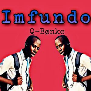 Imfundo