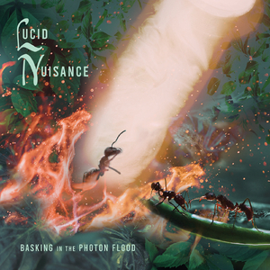 If I Never Told You Before