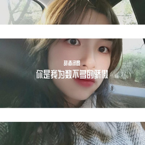你是我位数不多的骄傲