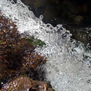 Святая вода