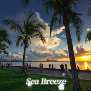 Sea Breeze