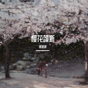 樱花颂新