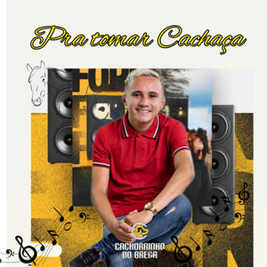 Chorei na Vaquejada