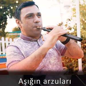 Aşığın arzuları