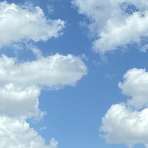 Bleeding Love（翻唱）