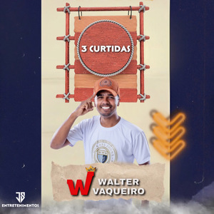 3 Curtidas (Cover)
