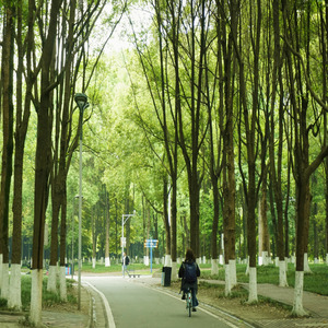 on a sad sunny spring day