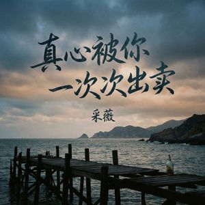 真心被你一次次出卖