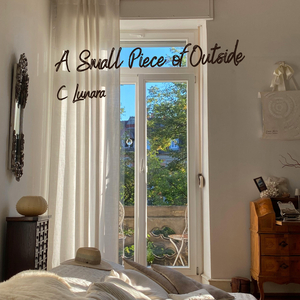 Light on the Floorboards