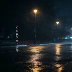 后来我学会了安静