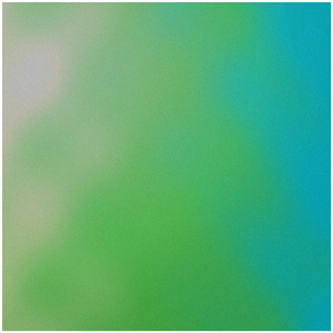 WELCOME NEW YORK (Cover)