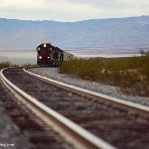为什么我的眼里常含泪水