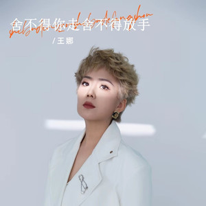 舍不得你走舍不得放手 (DJ沈念版伴奏)