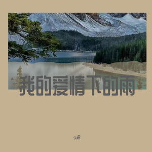 风里的雨