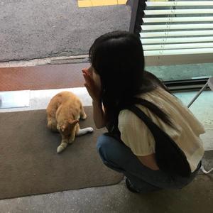 韦雄-根本你不懂的爱我1.1x（Raye_ remix）