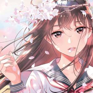 起风了(18年的夏天版)