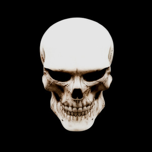 BONEMAXXING