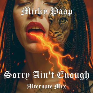 Sorry Ain't Enough (Alternate Mix)