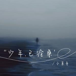 少年已沧桑