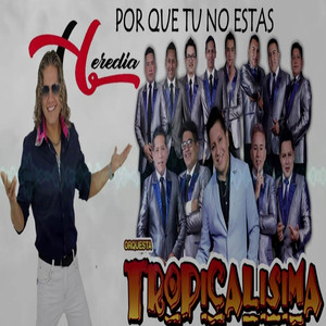 Por Que Tú No Estás