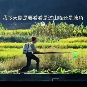 过山风还是塘角鱼
