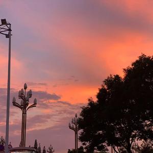 Novo Amor-4U（Lemon Tree remix）