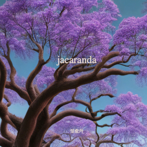 jacaranda