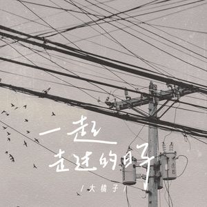 一起走过的日子