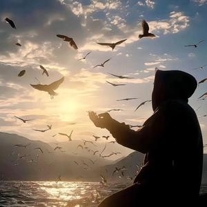 我的天空（释怀版）