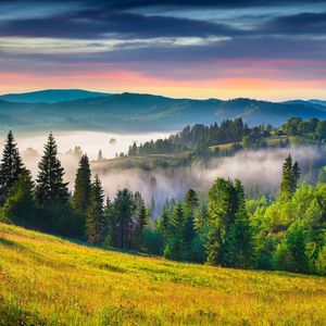 记忆充满了故事