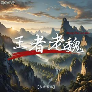 王者老魏