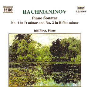 Piano Sonata No. 1 in D Minor, Op. 28:II. Lento