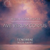 Tenebrae - Ave Verum Corpus (Live)