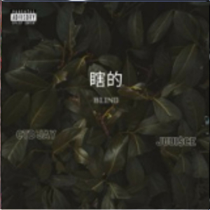 Blind