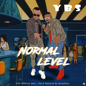 Normal Level
