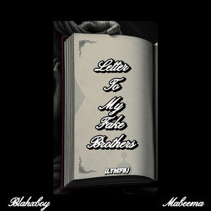 Letter to My Fake Brothers(Ltmfb)