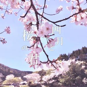 四月と桜の君