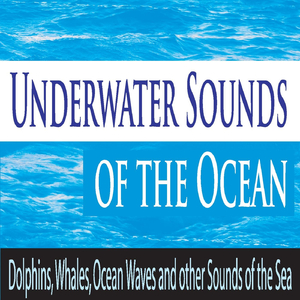 Ocean Waves (Wave Sounds Only)