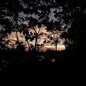 病态prod LilSiren