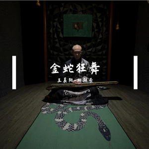 金蛇狂舞【古琴版】
