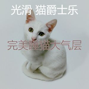 微妙的小猫心情