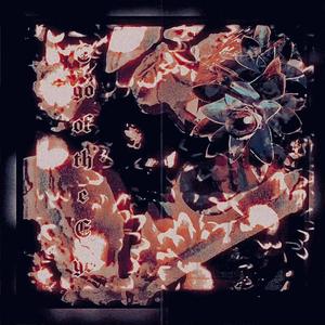 When The Shsdow Leave Your Eyess