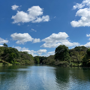 ダージリンの風