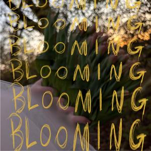 blooming