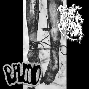 IM JUST LIKE JESUS BECAUSE I AM GAY