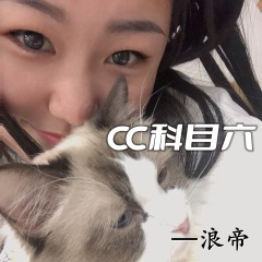 金克丝的含义就是金克丝 (DJ版)