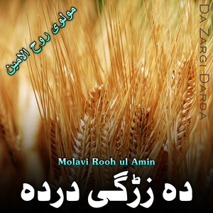 Da Mansoor Tar Shahadata