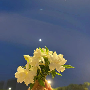 如果风景早已都不存在 (伤感版)